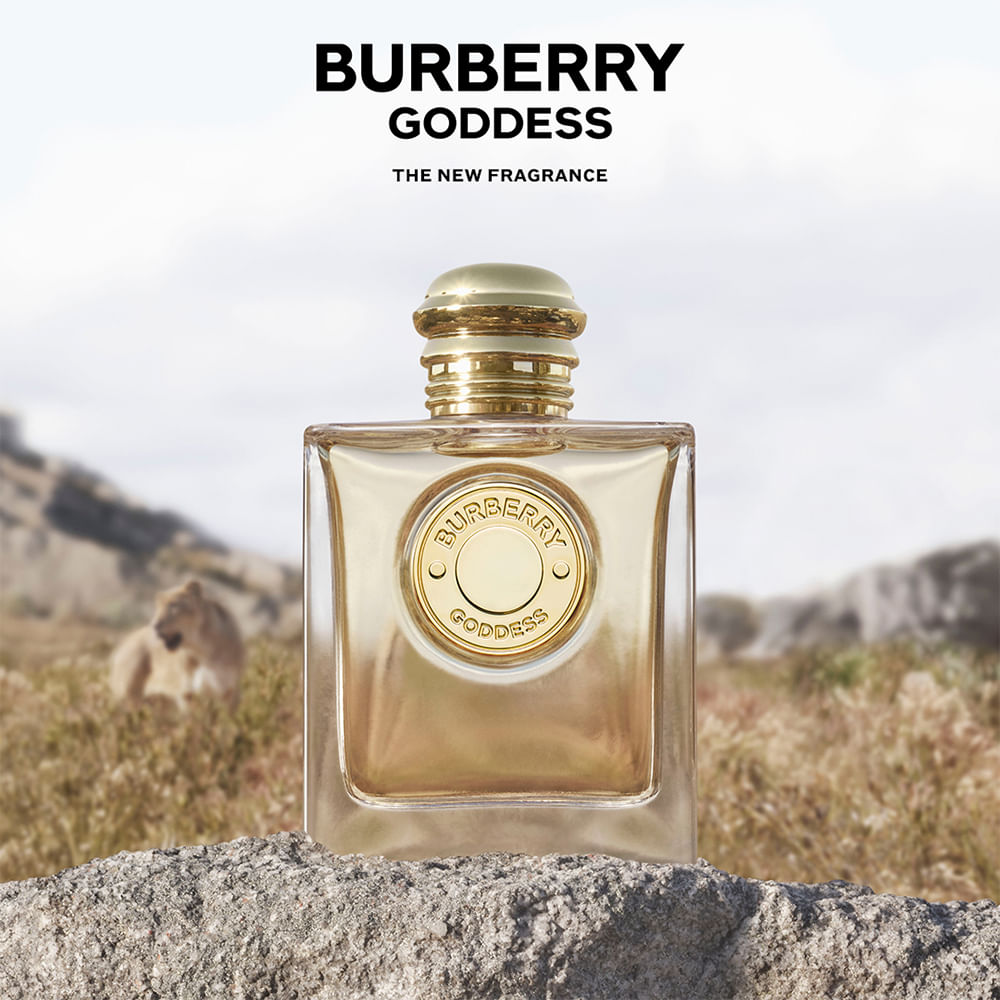 Burberry 2025 perfume historia