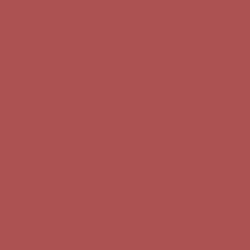 LIP IDOLE LINER 53 53