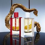 DRAGONESS-SUBLIME-5.jpg