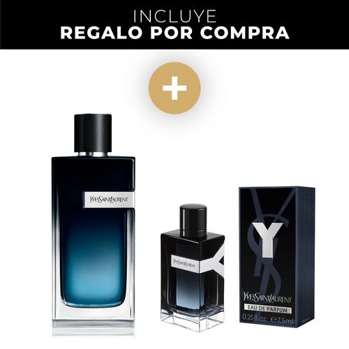 Y EDP