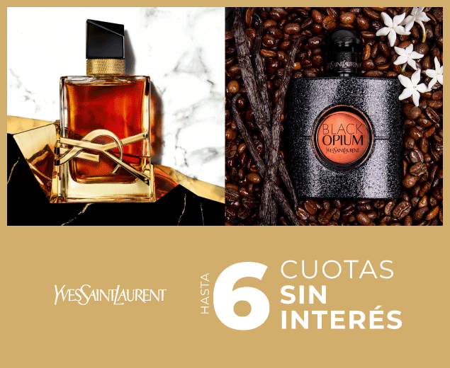 YSL - 6 CSI