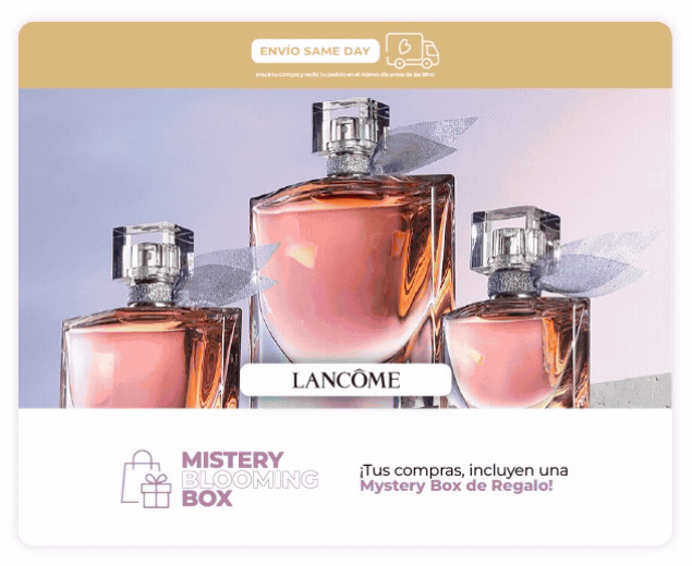LOREAL + MISTERY + ENVIO