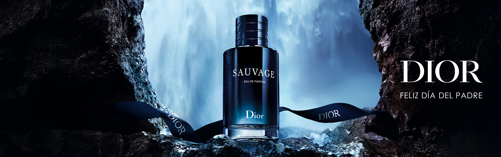 Dia del padre - dior